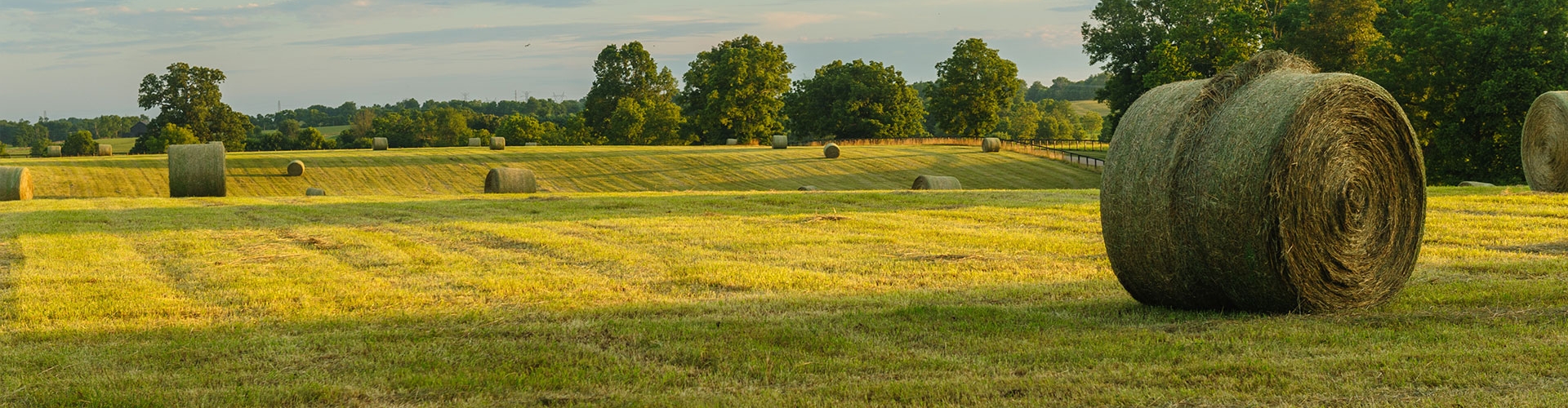 HLR Header