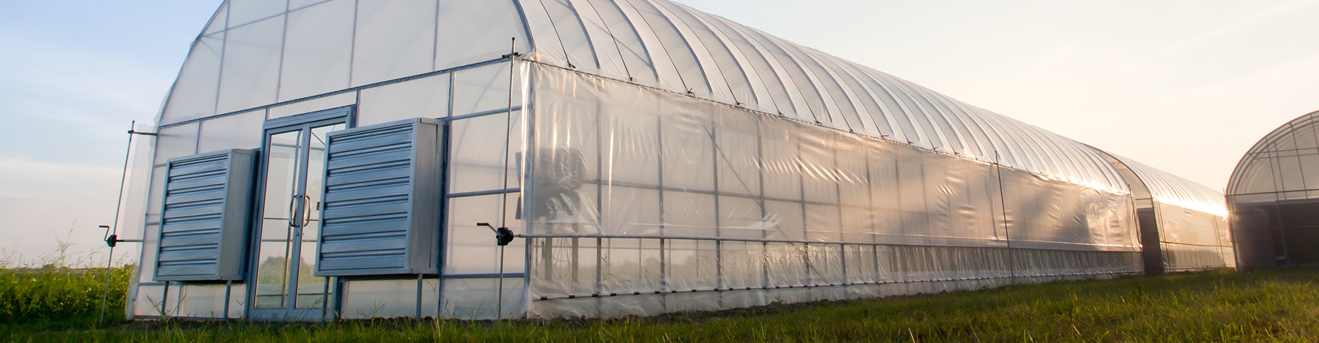 Production greenhouse at sunset