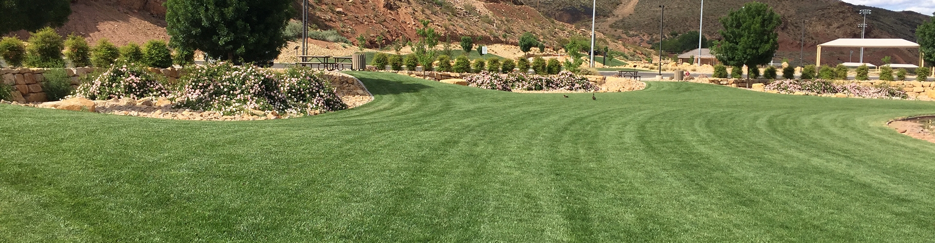 Green lawn in a city park with rocky hills in the background. 