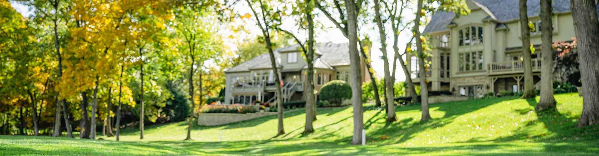 Mature trees shading freshly mown grass in front of homes.
