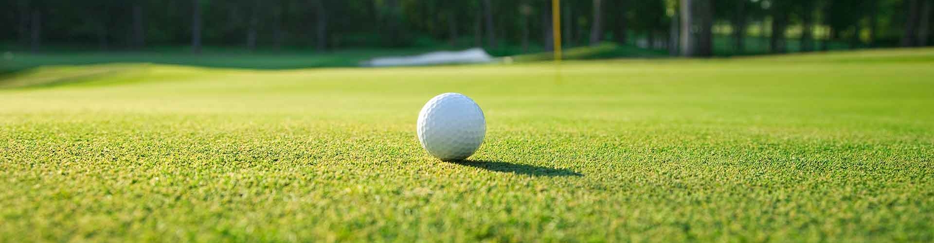 White golf ball resting on perfectly manicured putting green.
