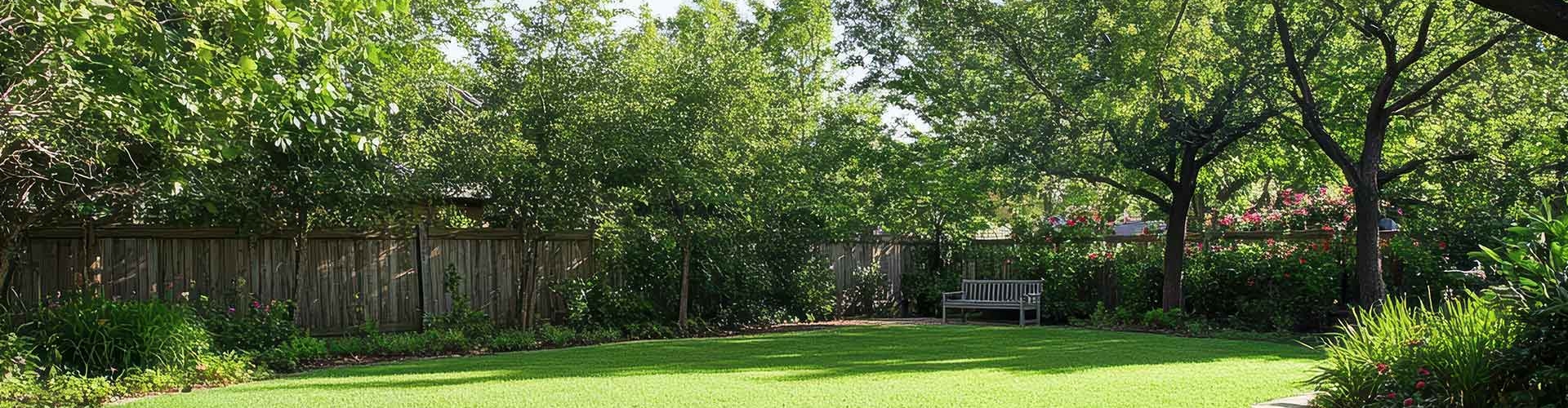 Homelawn with partial shade produced by trees under a clear blue sky.