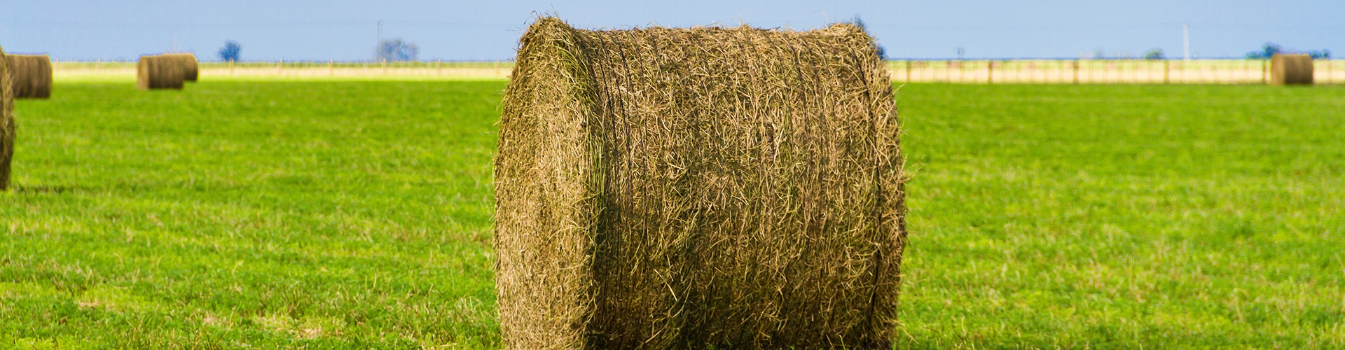 Bale of hay in a field of green grass