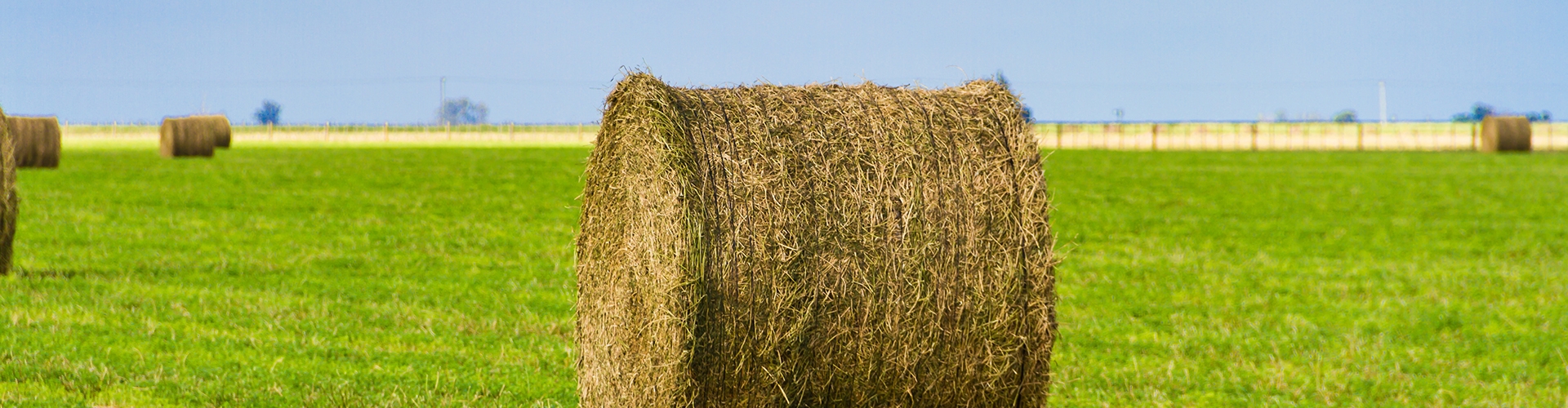 Bale of hay in a field of green grass