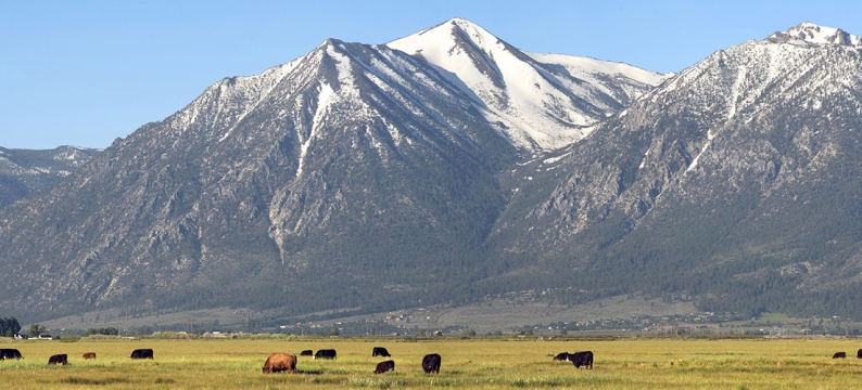 Mountains and field - Barricaide header