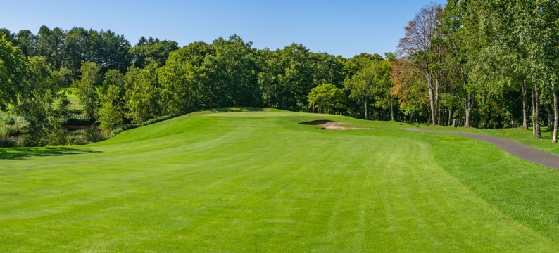 Green golf course fairway under a clear blue sky.
