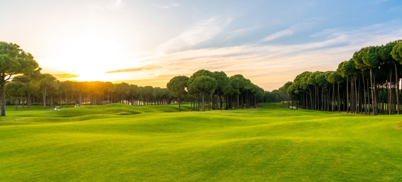 Light green golf course fairway under the setting sun.