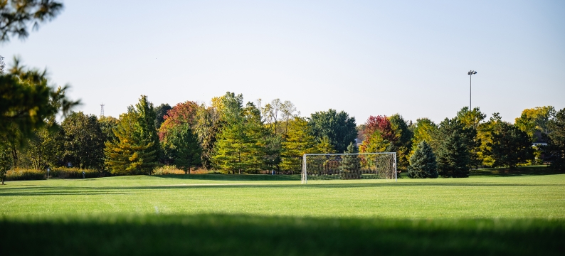 Field with soccer goal 