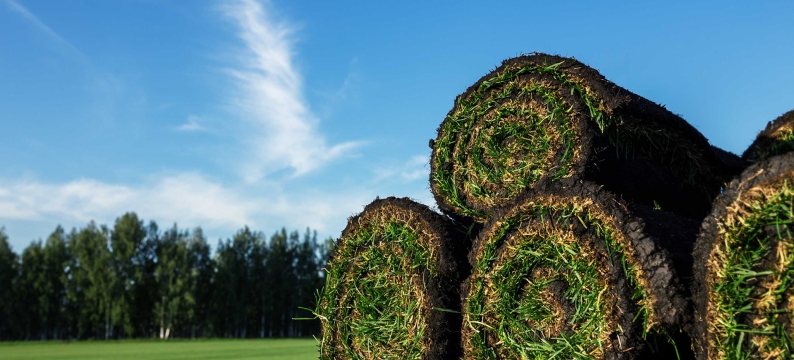 Rolls of grass sod stacked on a green field with trees and blue sky in background. 