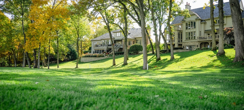Two upscale homes on the edge of a green lawn with sun and shade from thin trees