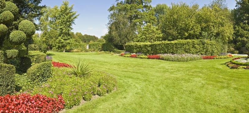 Green lawn in full sun with bushes and flowers