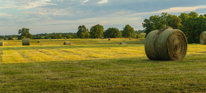 HLR Header