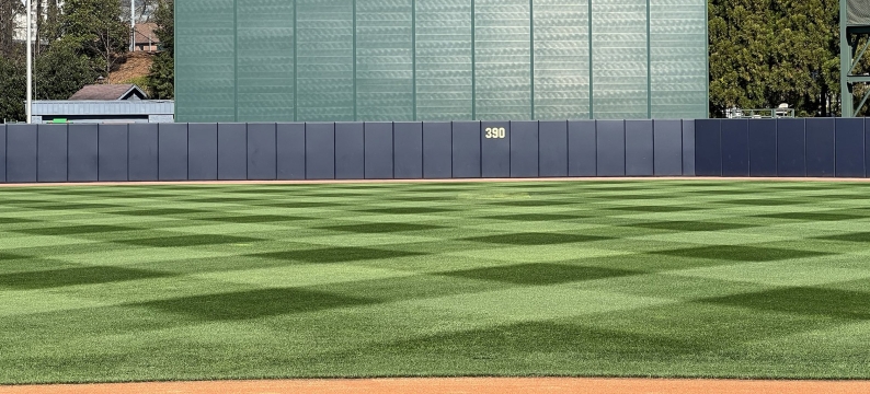 Green grass in a baseball outfield 