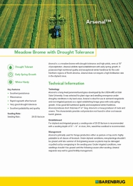White document with text information about grass seed 