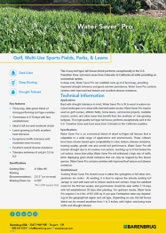 White document with text information about grass seed 
