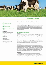 White document with text information about grass seed 