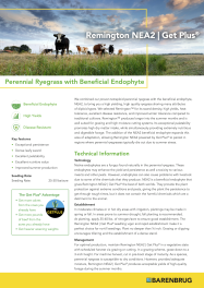 Remington NEA2 Get Plus_TechSheet_2026.png