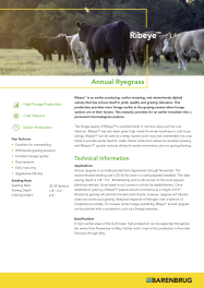 Ribeye_TechSheet_2026.png