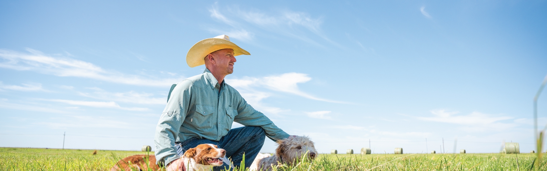 Cowboy with dog sitting in cattle pasture under blue sky.