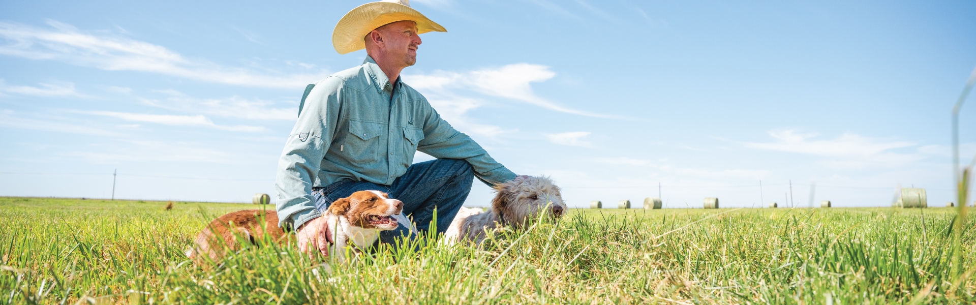 Cowboy with dog sitting in cattle pasture under blue sky.