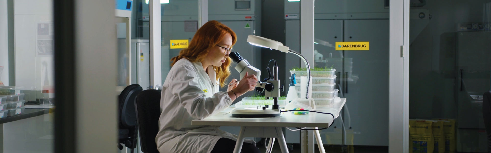 Female barenbrug turf researcher looking through microscope.