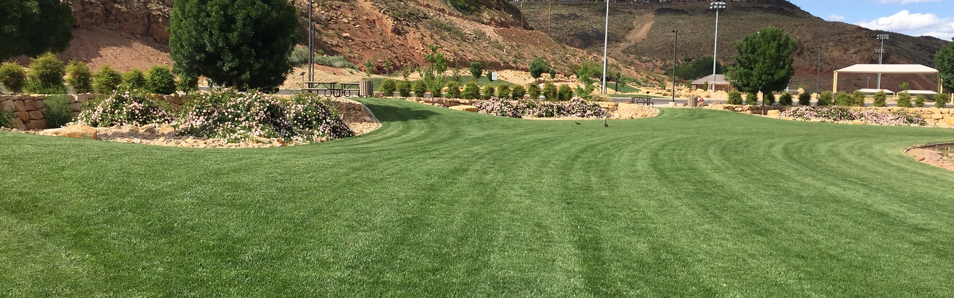 Green lawn in a city park with rocky hills in the background. 