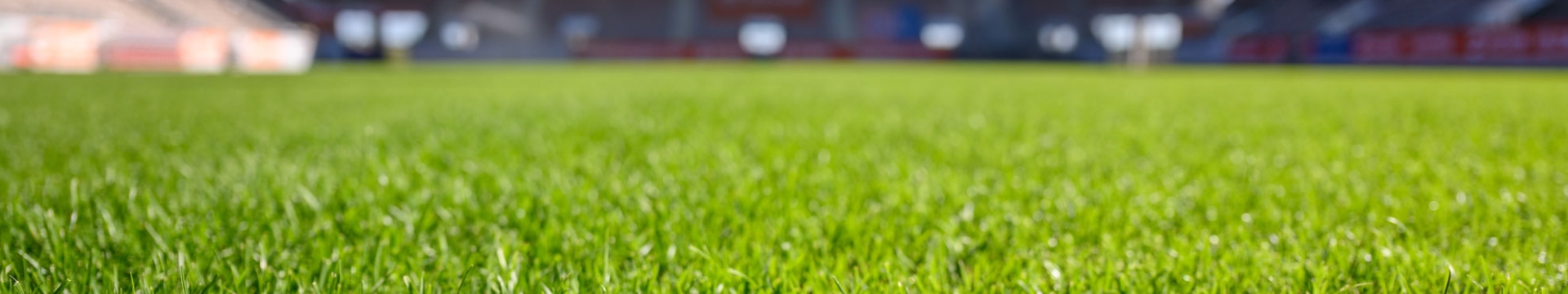 Sports field with vibrant green grass and blue sky.