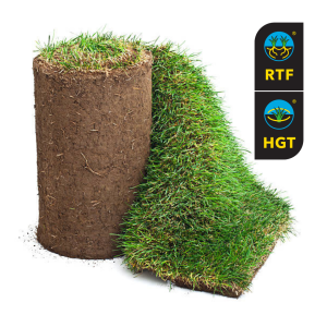 RTF + HGT Sod