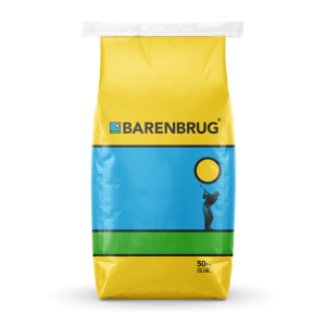generic tech bag
