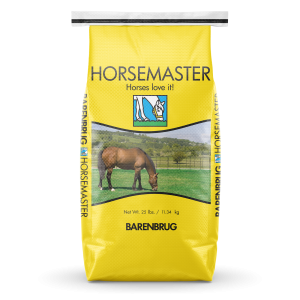 Large yellow bag of grass seed with the word Horsemaster - Horses love it! and a photo of a brown horse eating green grass