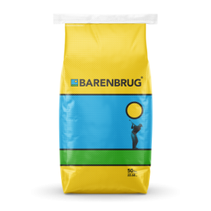 generic tech bag