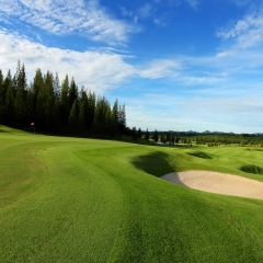 Golf course fairway with blue sky.