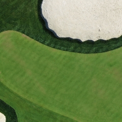 Arial photo of golf course roughs and fairway